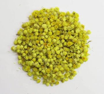 Cat's Foot Flowers (Helichrysum)