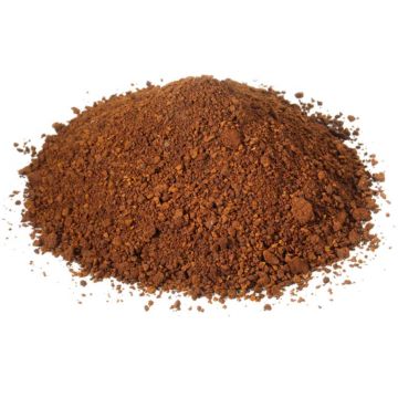 Chaga Powder - Organic Product