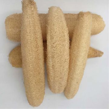 Φυσική Λούφα Σώματος (Ελίφι) 40-55cm