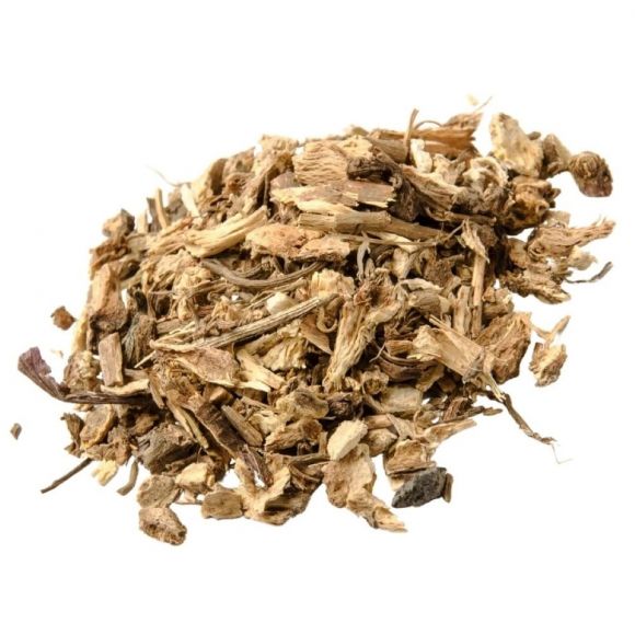 Echinacea