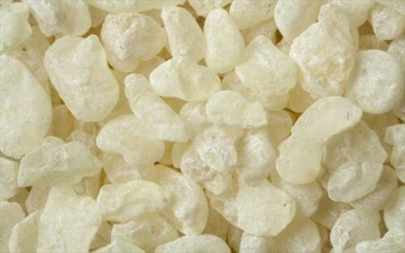 Chios Mastic Large Chunks (Chewing)
