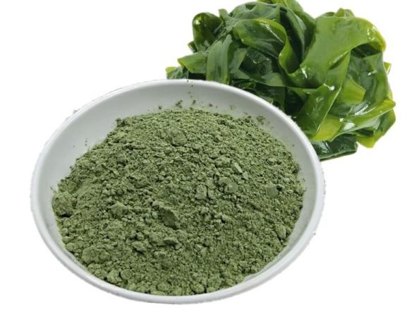 Kelp Powder - Organic Product