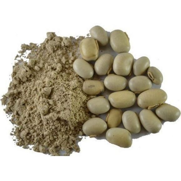 Mucuna Pruriens Powder - Organic Product