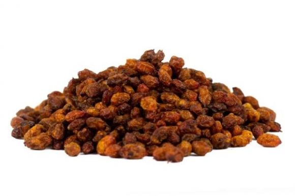 Sea Buckthorn (Hippophae)